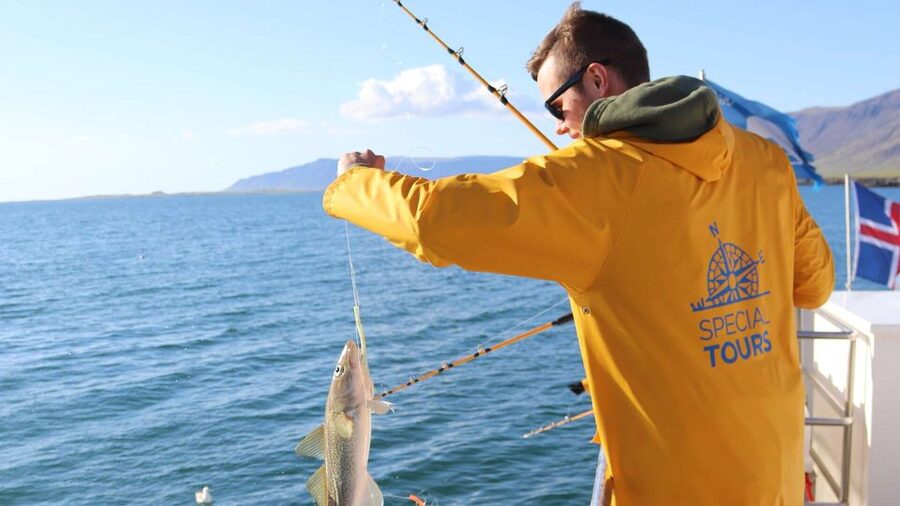 Reykjavik: Sea Fishing Boat Tour & BBQ with the Day's Catch - Is $141 a good value in Reykjavík?