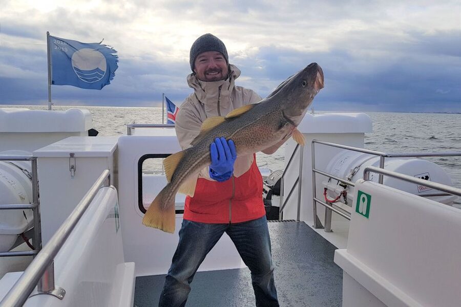 Reykjavik: Sea Fishing Boat Tour & BBQ with the Day's Catch - Puffin Island and possible whale sightings
