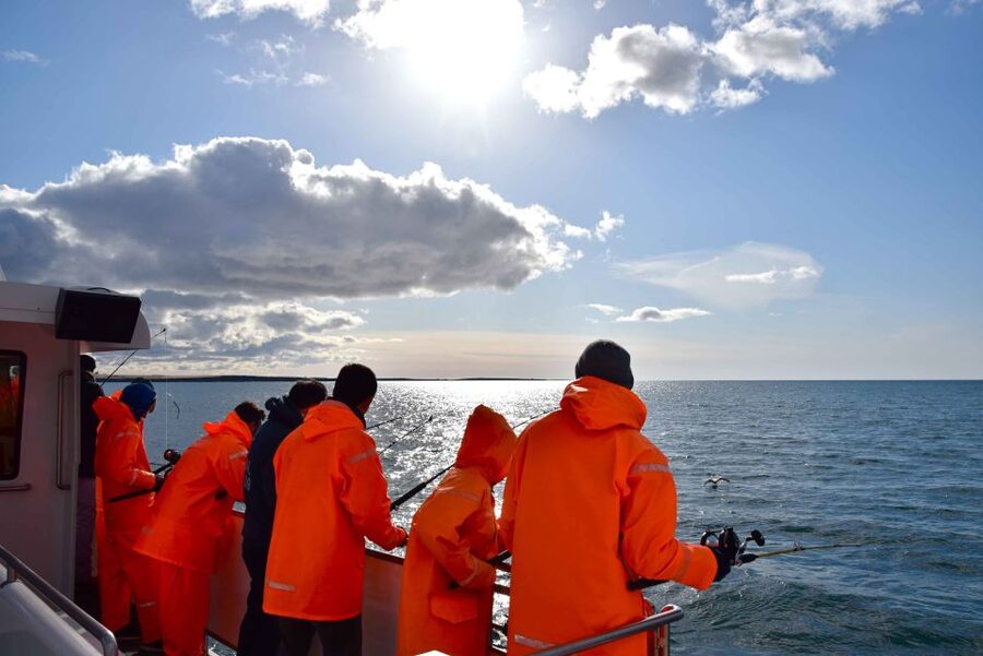 Reykjavik: Sea Fishing Boat Tour & BBQ with the Day's Catch - Crew support, group size, and the feel onboard