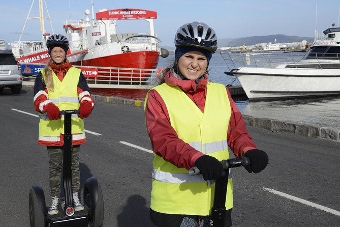 Reykjavik Segway Tour - Sun Voyager pairs sculpture with open water
