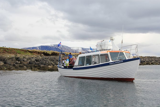 Reykjavik Shore Excursion: Puffin Sightseeing Cruise - Puffins just beyond Reykjavik’s harbor