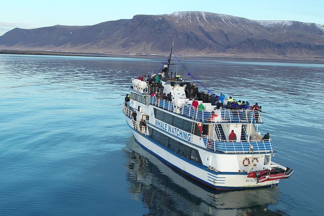 Reykjavik Shore Excursion: Whale-Watching Cruise - Staying warm and managing rough water