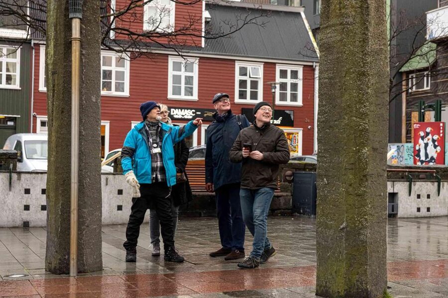 Reykjavik: Sightseeing Walking Tour with a Viking - Lake Tjornin: birdlife and a slower Reykjavik moment