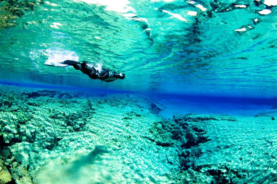 Reykjavík: Silfra Fissure Snorkeling and Lava Caving Tour - What snorkeling Silfra really feels like
