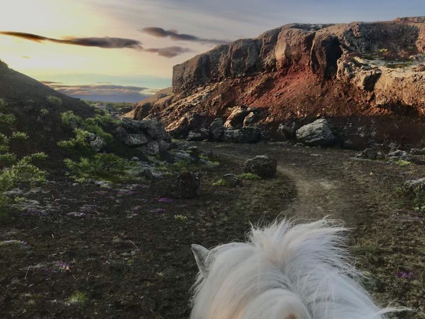 Reykjavik: Small-Group Horse Volcano Riding Tour with Pickup - Riding over the hills above Reykjavik