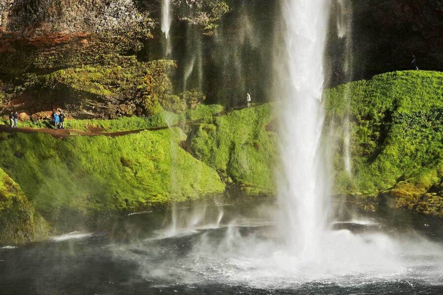 Reykjavik: South Coast, Diamond Beach, and Jökulsárlón Tour - Food stops and the practical rhythm of the day