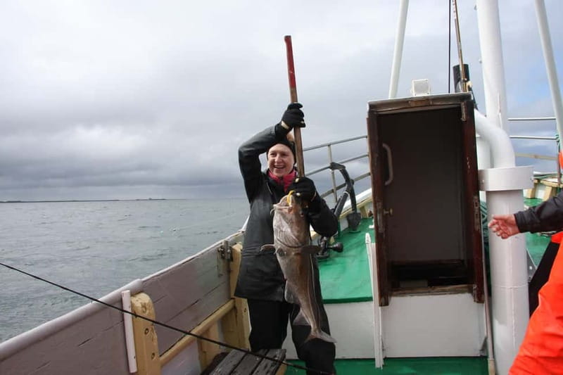 Reykjavik: Traditional Sea Fishing with BBQ Feast - Why the small group matters