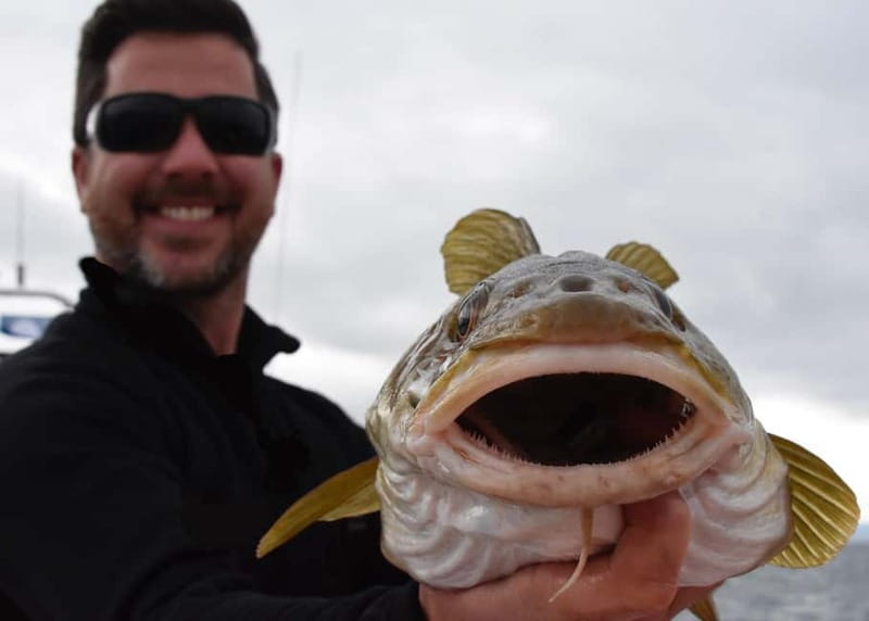 Reykjavik: Traditional Sea Fishing with BBQ Feast - Who should book this fishing trip?