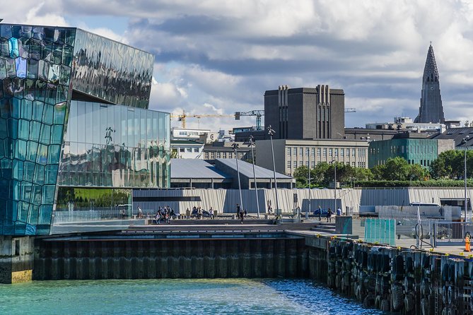 Reykjavik Walking Tour - Walk with a Viking - Austurvöllur, City Hall, and the center of civic life