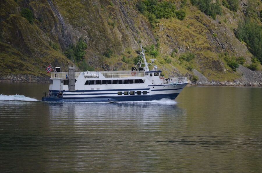 Reykjavik: Whale & Marine Adventure Tour - The sighting policy and your best approach