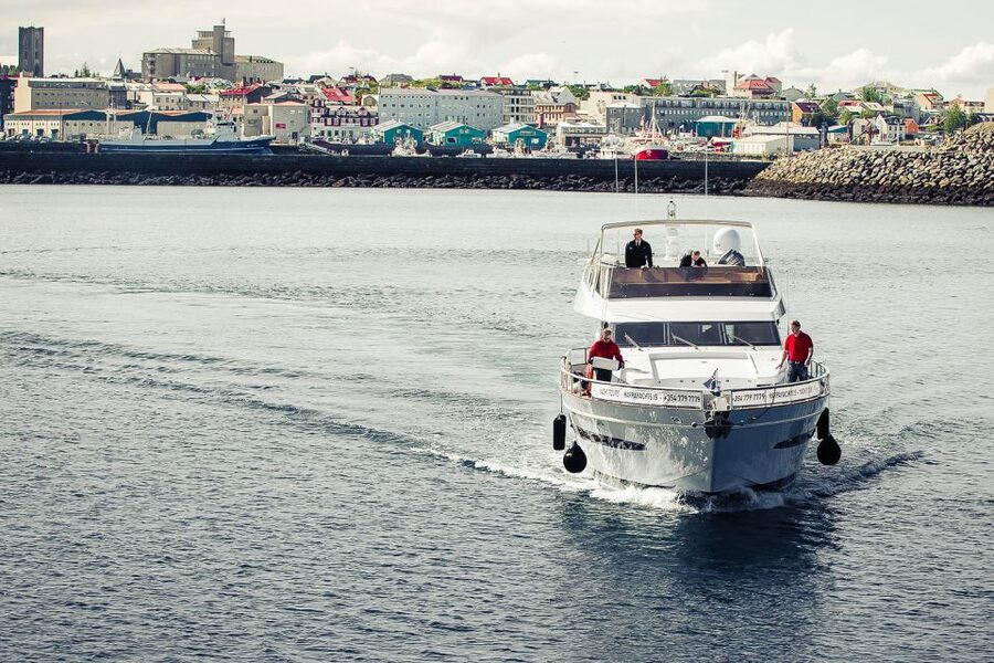 Reykjavik: Whale Watching and Dolphin Watching Yacht Cruise - Sailing out from Reykjavik Old Harbor
