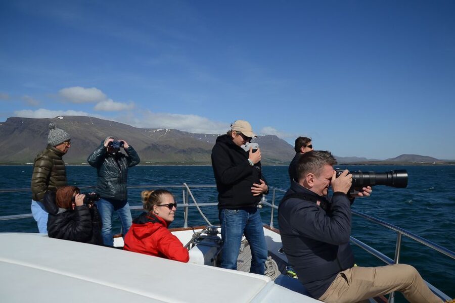 Reykjavik: Whale Watching and Dolphin Watching Yacht Cruise - Whale-friendly viewing and time on the water
