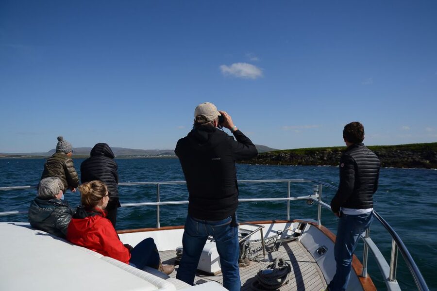 Reykjavik: Whale Watching and Dolphin Watching Yacht Cruise - When to book for whales and puffins