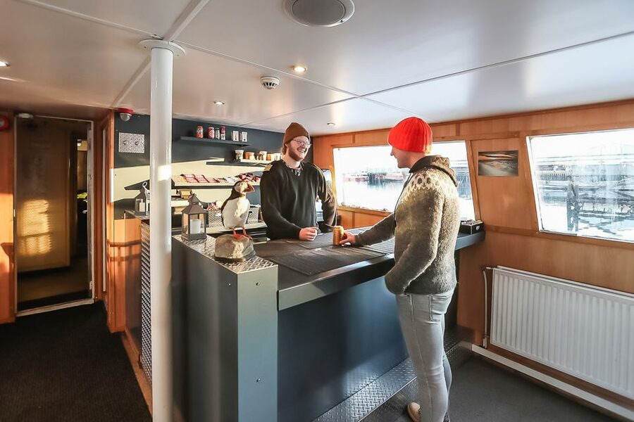 Reykjavík: Whale Watching and Marine Life Cruise - Should you book the Reykjavík whale cruise?