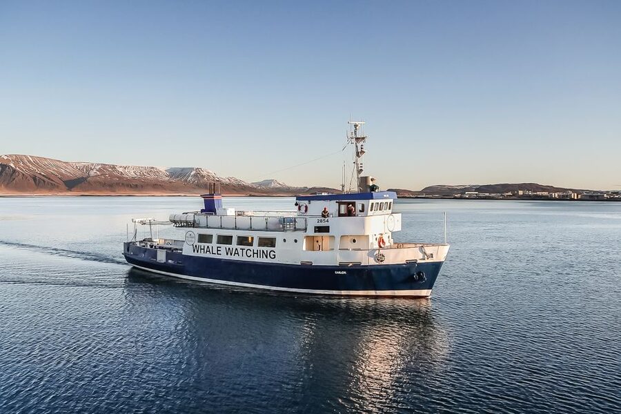 Reykjavík: Whale Watching and Marine Life Cruise - The first run across Faxaflói Bay