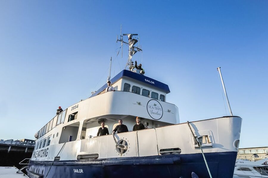 Reykjavík: Whale Watching and Marine Life Cruise - Winter, summer, and the question of timing