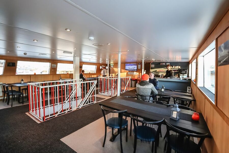 Reykjavík: Whale Watching and Marine Life Cruise - Is $87 a fair price?