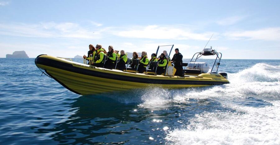Reykjavik: Whale Watching by RIB Speedboat - Key points to know before you book