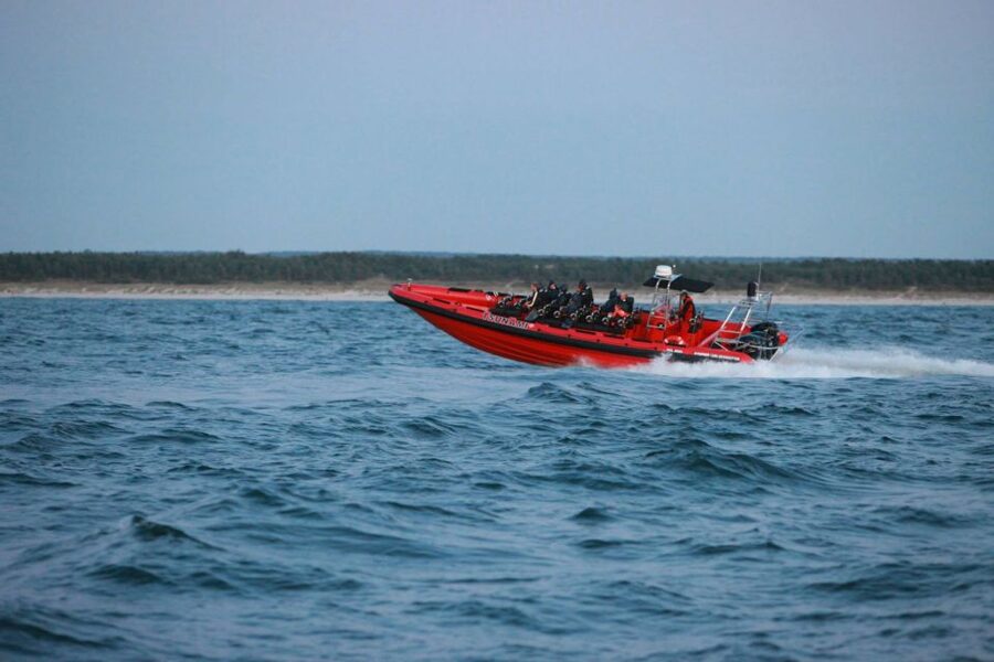 Reykjavik: Whale Watching by RIB Speedboat - Why the 12-seat RIB can be worth $200