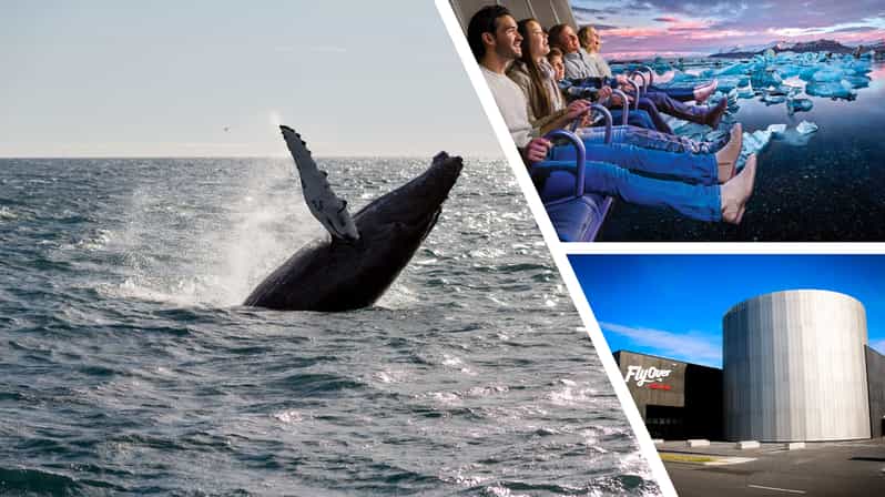 Reykjavík: Whale Watching Cruise and FlyOver Combo Ticket - Comfort on a cold North Atlantic boat