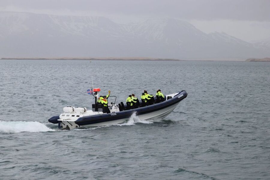 Reykjavik: Whale Watching Tour by RIB Boat - Practical tips for a better outing
