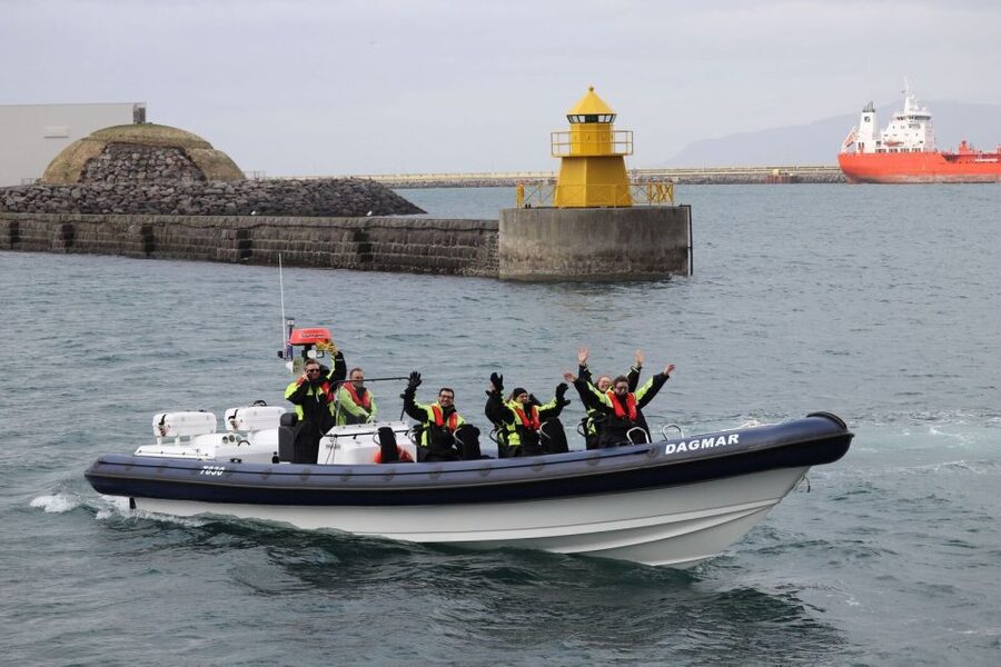 Reykjavik: Whale Watching Tour by RIB Boat - Who should choose this tour?