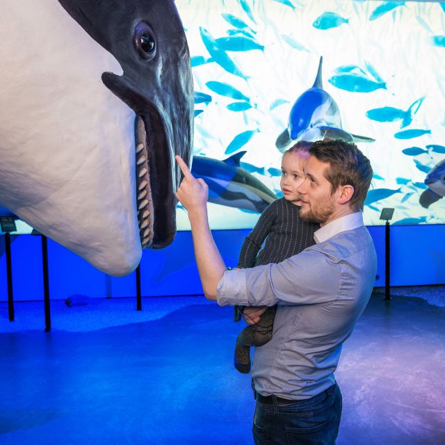 Reykjavik: Whale Watching Tour, Whales of Iceland Exhibition - Guides who turn waiting into part of the trip