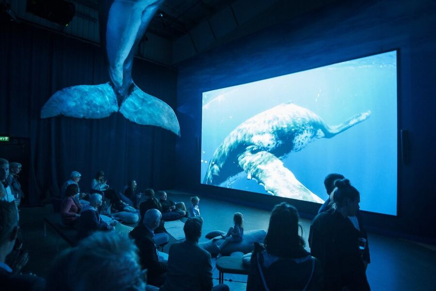 Reykjavik: Whale Watching Tour, Whales of Iceland Exhibition - How to fit the museum around the boat trip