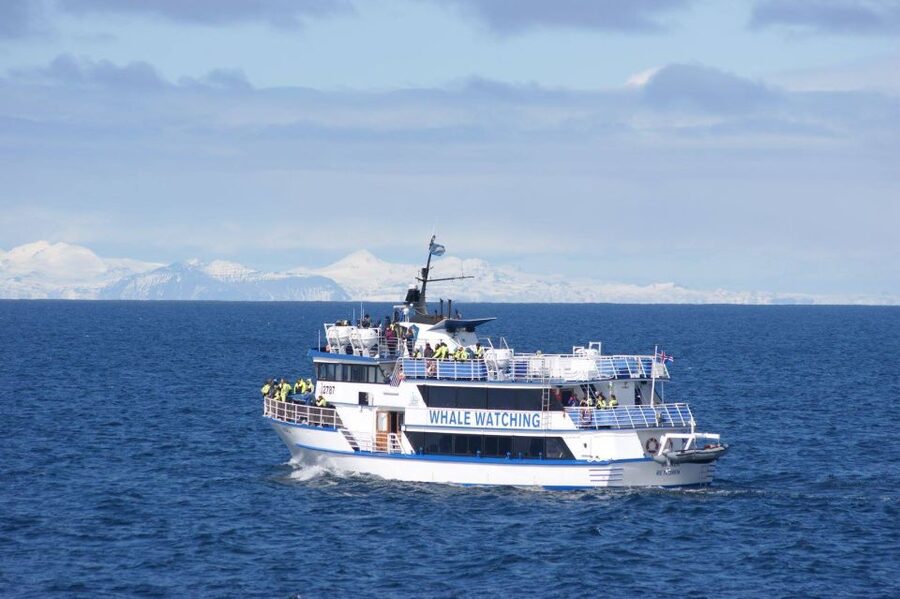 Reykjavik: Whale Watching Tour, Whales of Iceland Exhibition - Best months, clothing, and practical comfort