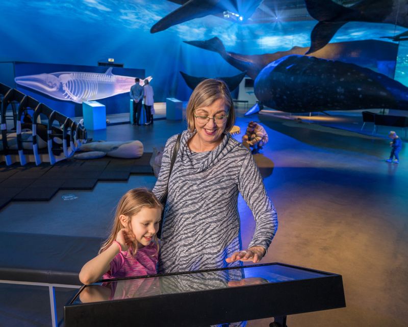 Reykjavik: Whale Watching Tour, Whales of Iceland Exhibition - What you may see in Faxafloi Bay