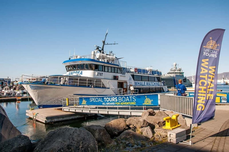 Reykjavik: Whale Watching Tour with Expert Guide - Key points to know before sailing