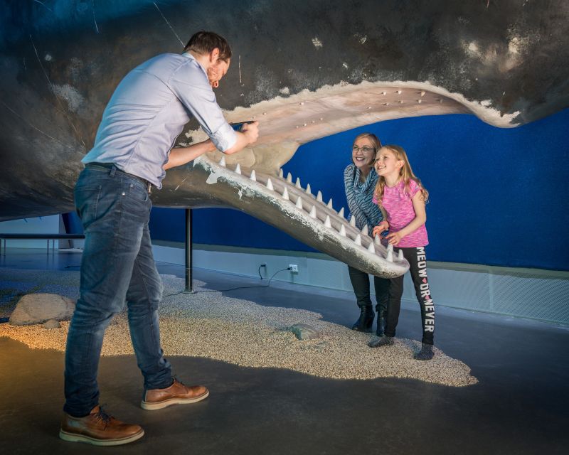 Reykjavik: Whales of Iceland Museum Entrance Ticket - Who should book Whales of Iceland?