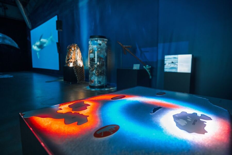 Reykjavik: Whales of Iceland Museum Entrance Ticket - Interactive stations turn facts into something usable
