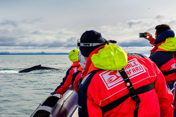 RIB Whale Watching Small-Group Boat Tour from Reykjavik - Leaving Ægisgarður at Reykjavik Old Harbour