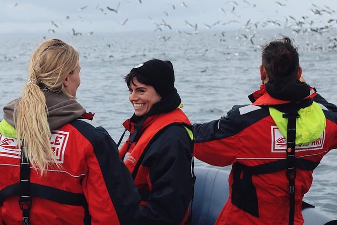 RIB Whale Watching Small-Group Boat Tour from Reykjavik - Akurey and the puffin islands