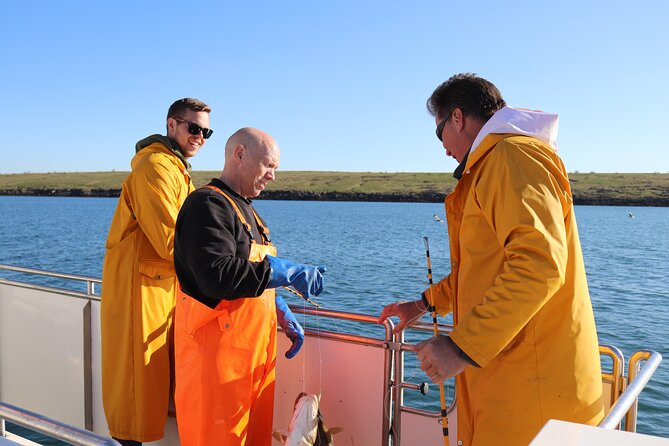 Sea Fishing Experience from Reykjavik - Key points before you cast off