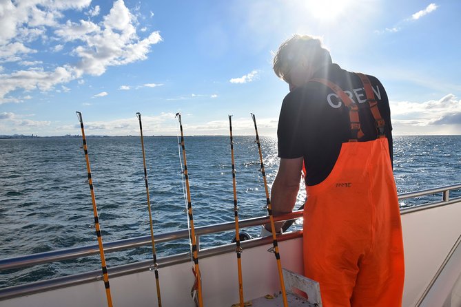 Sea Fishing Experience from Reykjavik - What to bring and how to prepare