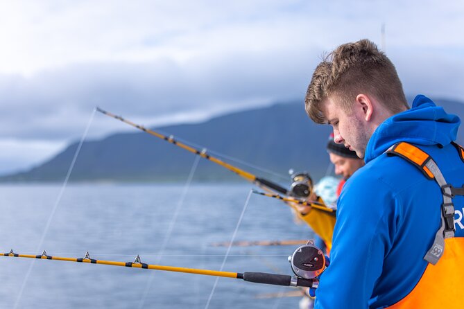 Sea Fishing Experience from Reykjavik - What the fishing feels like on a shared boat