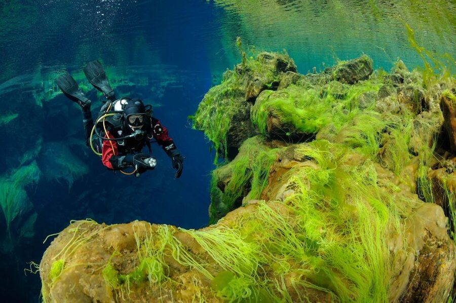 Silfra: Diving Between Tectonic Plates - The $289 Price: What You Are Paying For