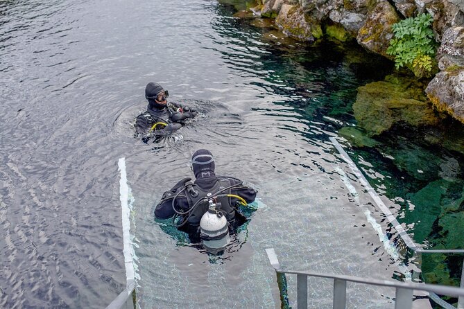 Silfra: Diving Between Tectonic Plates and Pick Up from Reykjavik - What the $325 price covers