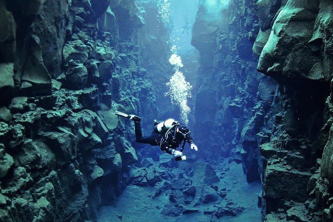 Silfra: Diving Between Tectonic Plates and Pick Up from Reykjavik - Who will get the most from this outing