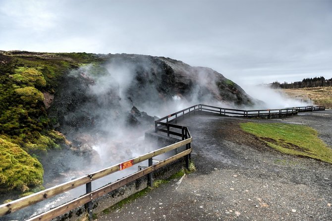 Silver Circle: Lava Cave, Waterfalls & Iceland Horses-Small Group - Sturlureykir horse farm and geothermal rye bread