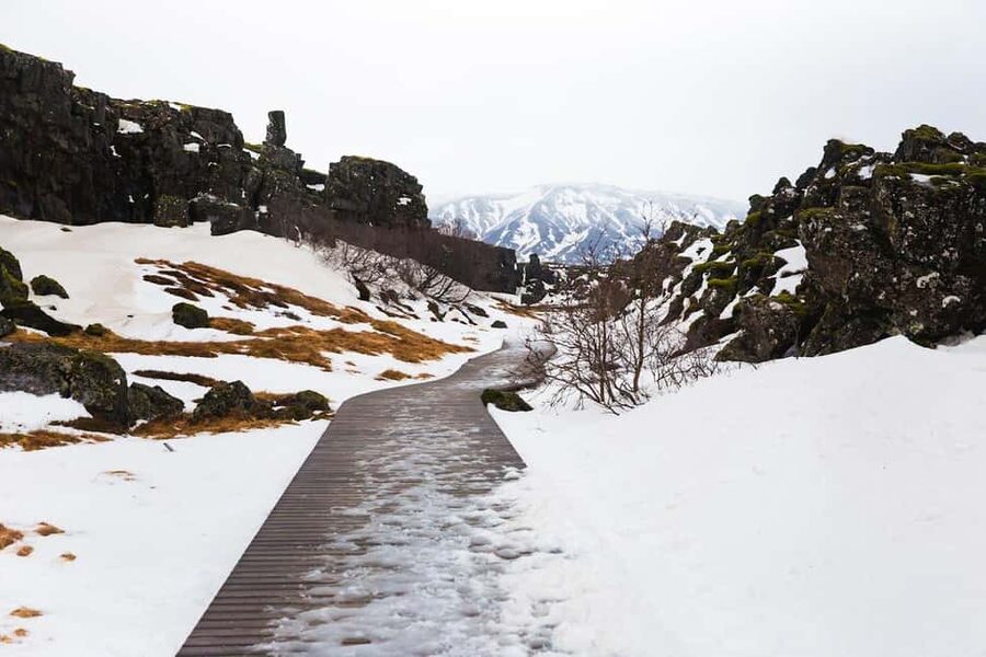 Skarfabakki: Golden Circle Small-Group Full-day Tour - Geysir and Iceland’s restless ground