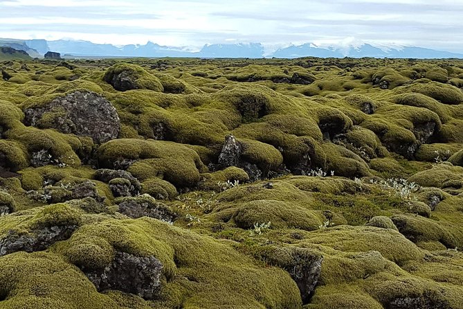 Small Group Day Tour to Lakagigar volcano by Super Jeep from Klaustur - Fjaðrárgljúfur canyon from the higher trail