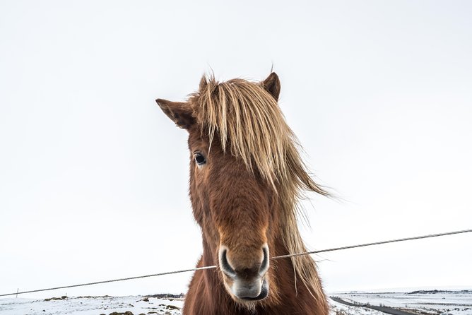 Small-Group Golden Circle Full-Day Tour from Reykjavik - Gullfoss: Iceland’s great wall of water
