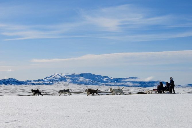 Small Group Husky Sledding Tour from Capital Region - Key points to know before you book