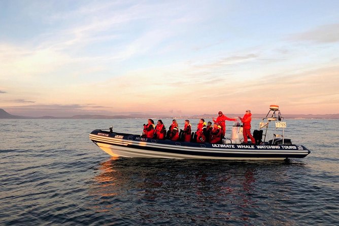 Small-group Whale Watching in the Midnight Sun from Reykjavík - A small boat and a long Icelandic evening