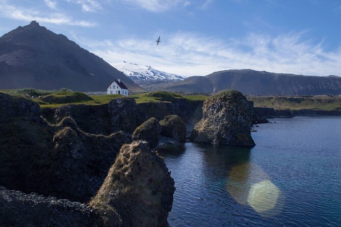 Snæfellsnes in Spanish with lunch on a farm Minibus - Lýsuhóll brings food and horses