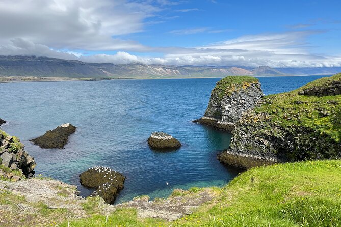 Snæfellsnes in Spanish with lunch on a farm Minibus - Walking the Arnarstapi to Hellnar coast