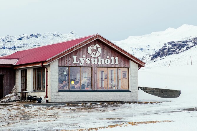 Snæfellsnes in Spanish with lunch on a farm Minibus - Ytri Tunga and the seal coast